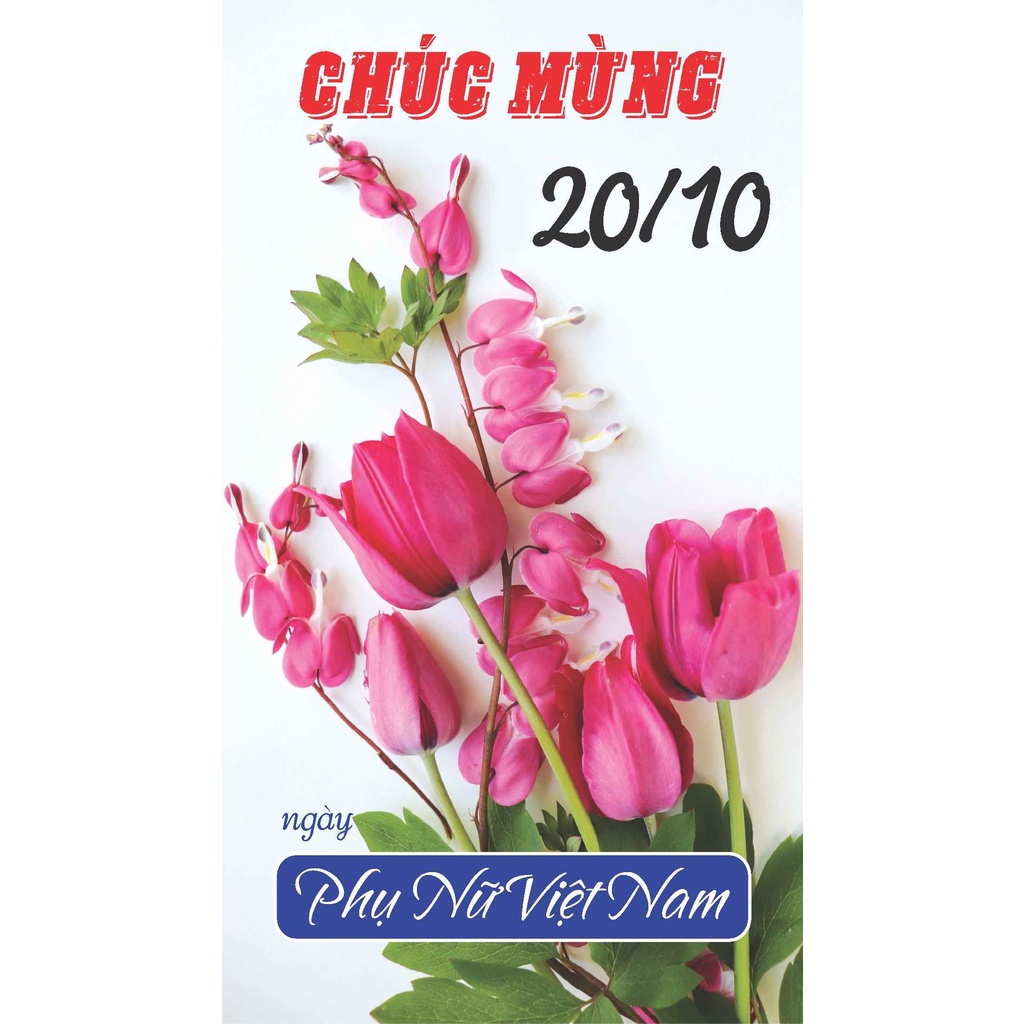 Set 10 Thiệp 20-11 đẹp (chất giấy Hàn Quốc)