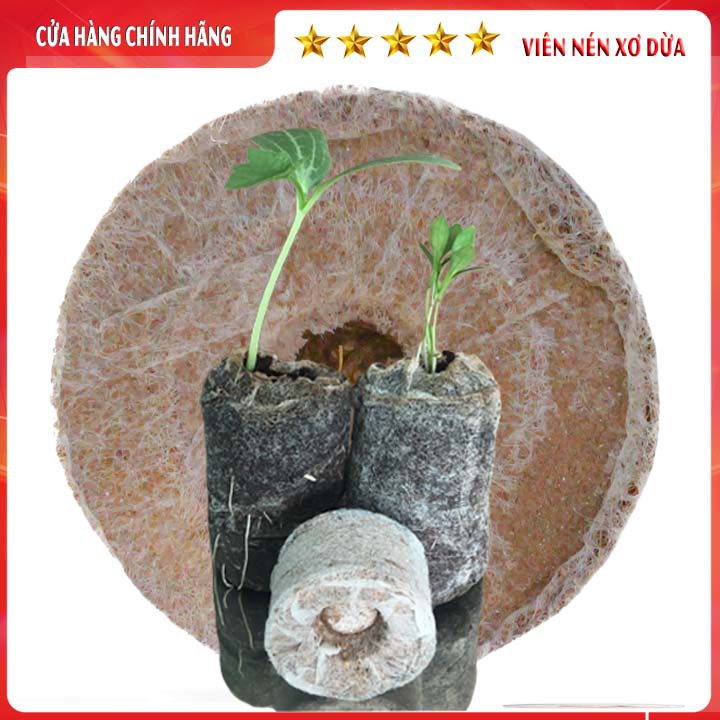 100 VIÊN NÉN XƠ DỪA Ươm Hạt Và Cây Giống Tiện Lợi