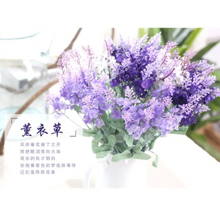 Hoa giả - Hoa Lavender