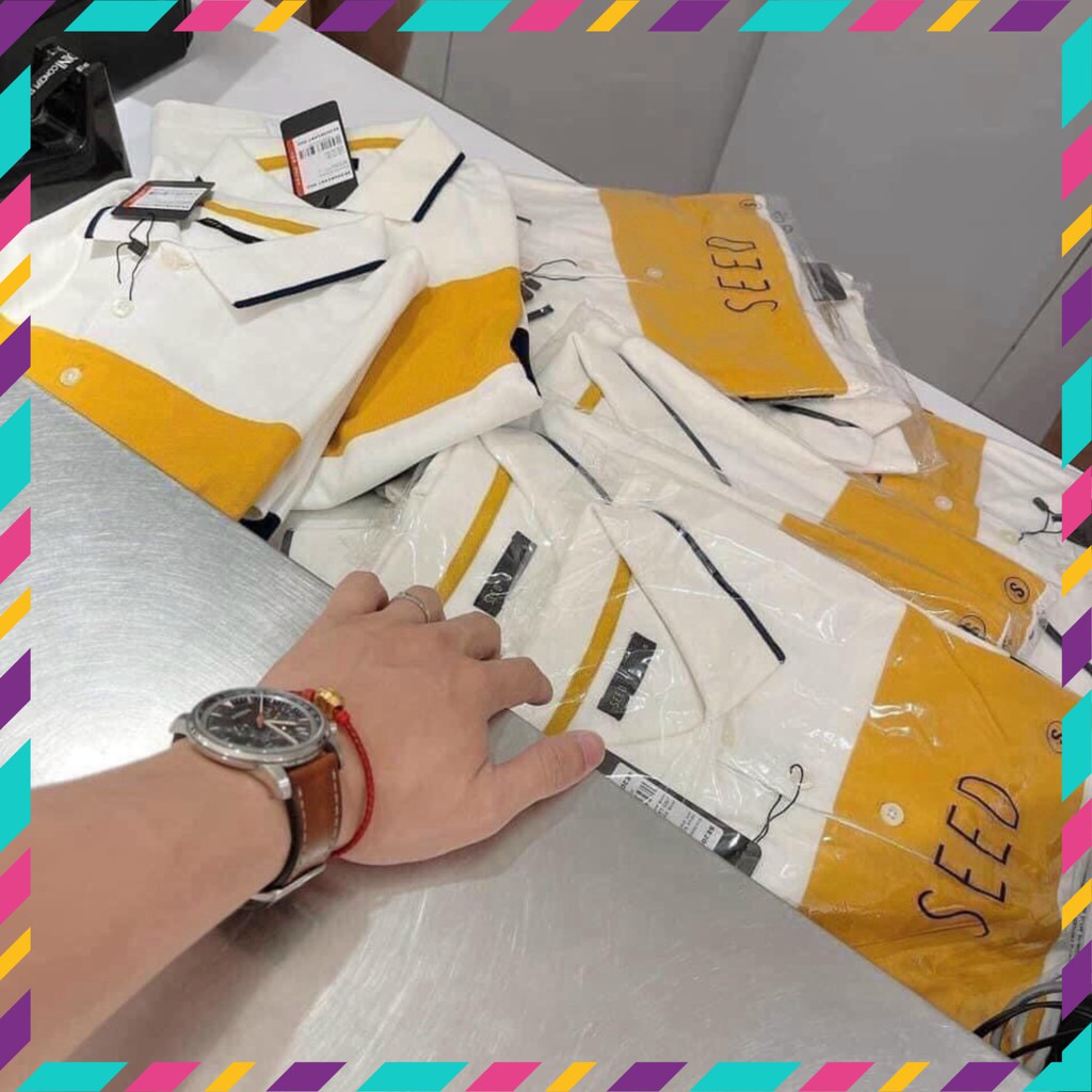 [CAO CẤP] Áo Polo Sọc Vàng Cho Nam,Polo Seed | BigBuy360 - bigbuy360.vn