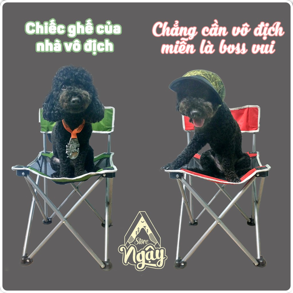 Ghế gấp có tựa lưng Naturehike NH16J001-J