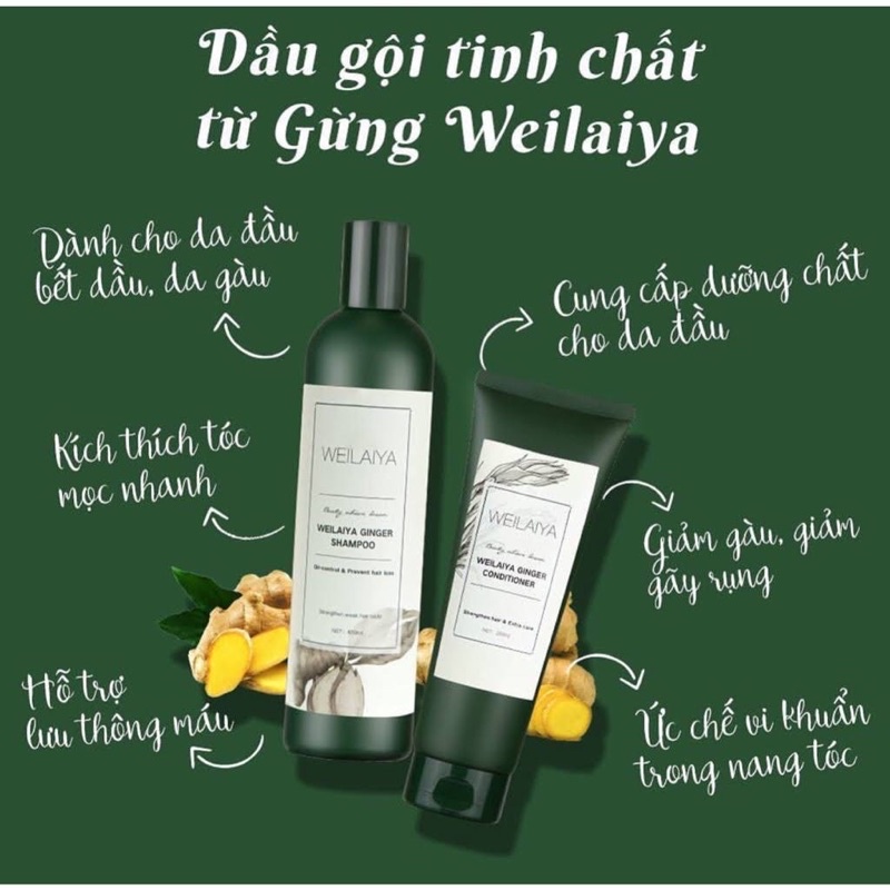 Dầu gội Weilaiya gừng trắng 400ml + dầu xả gừng trắng 250ml kích mọc tóc Weilaiya Ginger