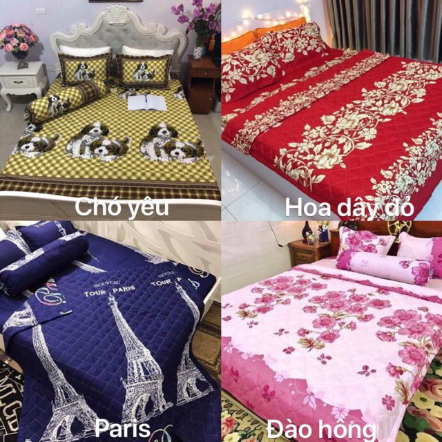 Bộ 5 Món Vỏ Chăn Ga Gối Coton poly cao cấp | BigBuy360 - bigbuy360.vn