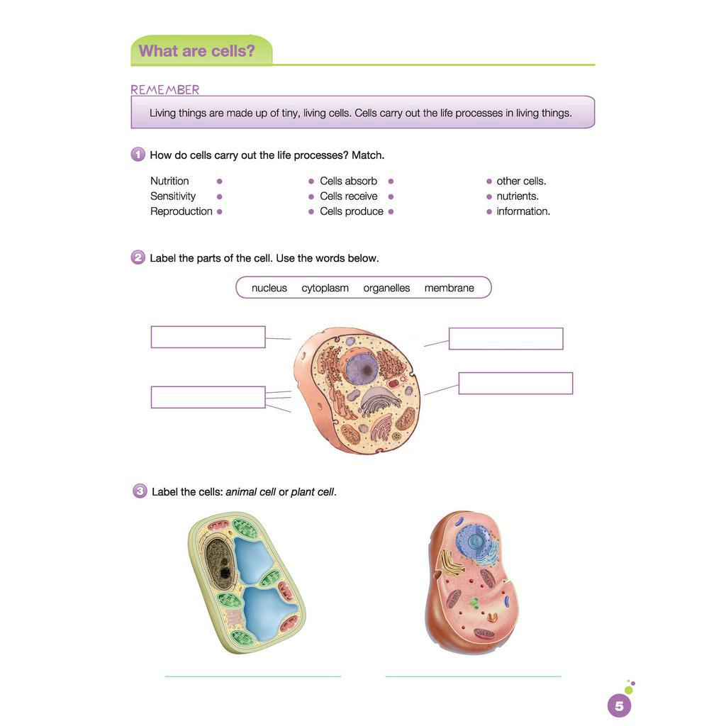 Sách - DTPbooks - i-Learn Smart Science 5 Activity book