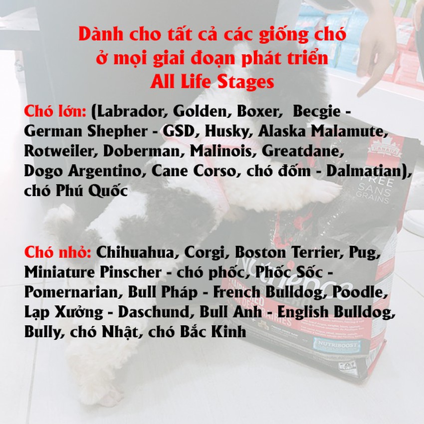Thức Ăn Cho Chó - Nutrience  - Thức Ăn Hạt Cho Chó Poodle Hỗ Trợ Da Lông Bóng Mượt Tiêu Hóa Miễn Dịch