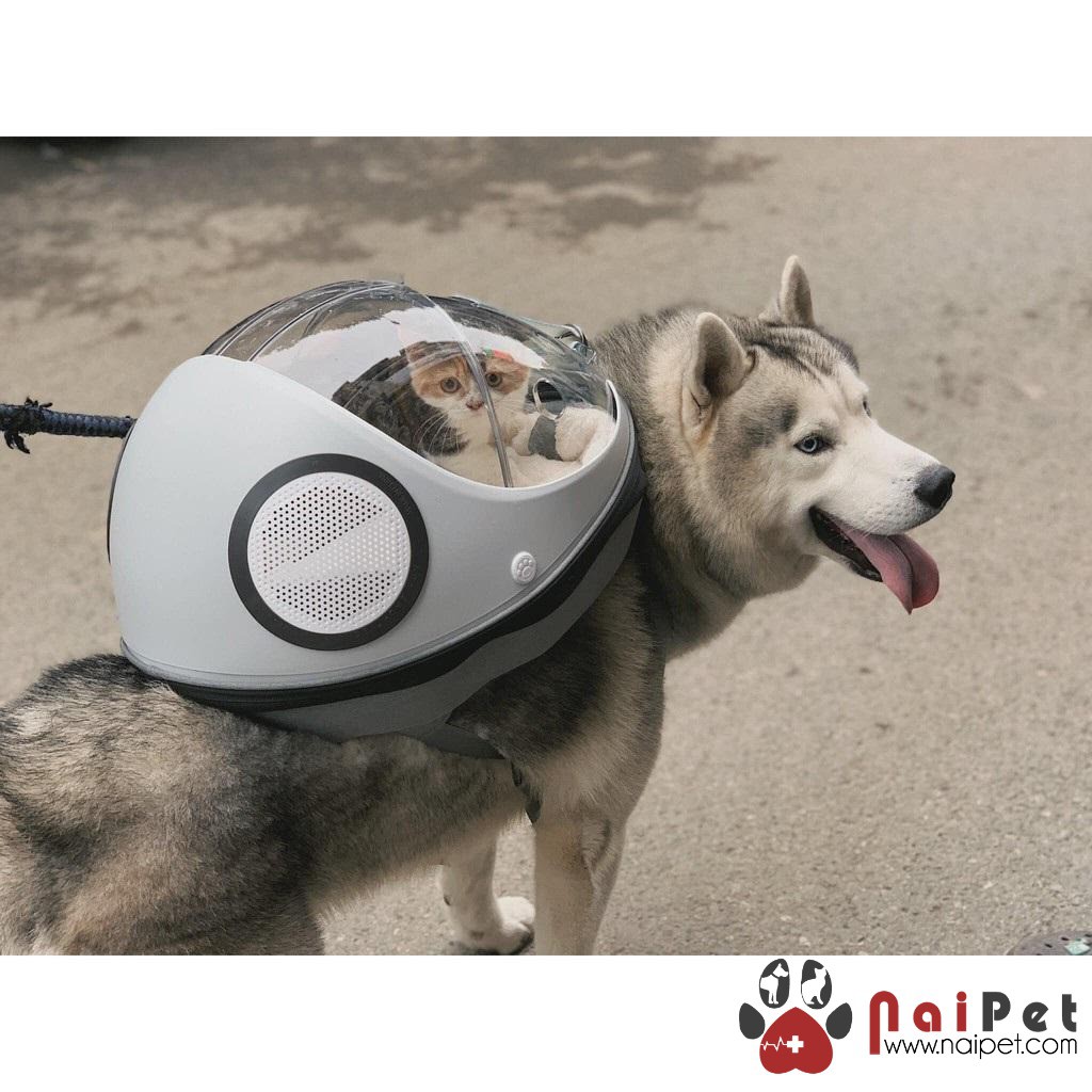 Ba Lô Vận Chuyển Phi Hành Gia Lồng Trứng Egg LVC014