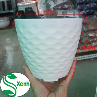 Chậu Nhựa Trồng Cây Mắt Lưới Tròn KT: 180*160*110