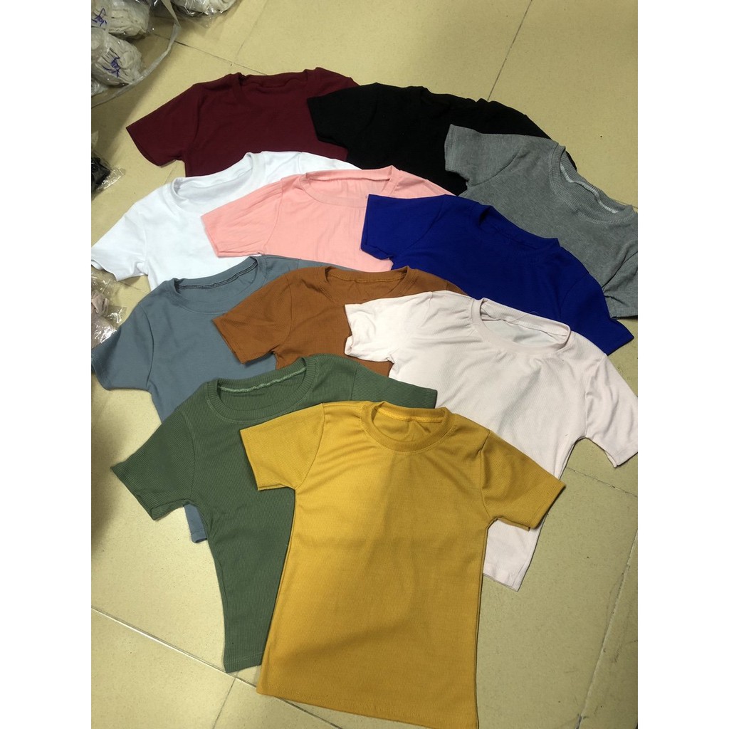 Áo thun gân tay ngắn hàng có sẵn U231013