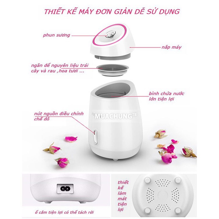 Máy xông mặt hoa quả Magic Bullet sịn sò