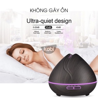 Combo đèn xông tinh dầu nhà Bún