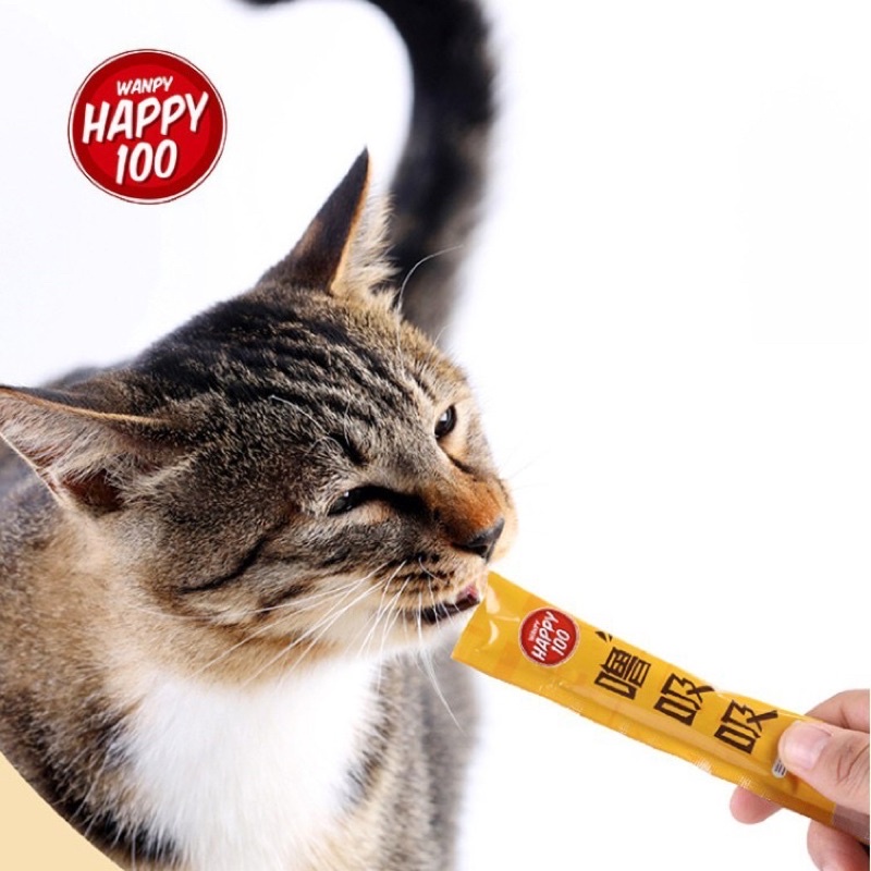 Súp thưởng Wanpy Happy 100 cho mèo bịch 5 thanh