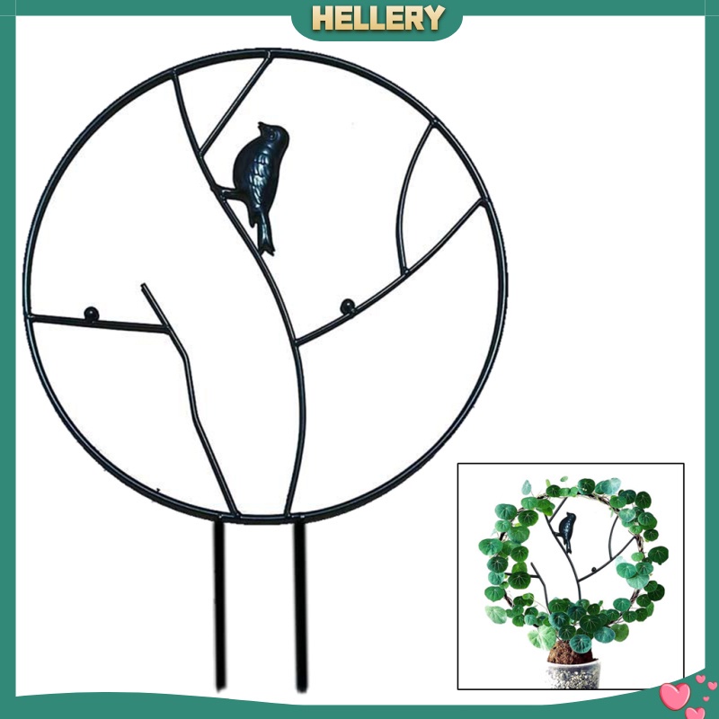[HelleryVN] Giá Đỡ Chậu Cây Dây Leo Hỗ Trợ Trồng Cây Dây Leo Cho Sân Vườn