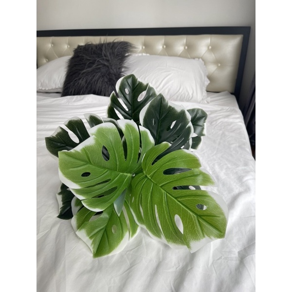 CÂY GIẢ- CÂY LÁ RÙA cao 60cm, Cây lá xẻ/ rách decor trang trí nhà cửa, homestay, khách sạn, nhà hàng