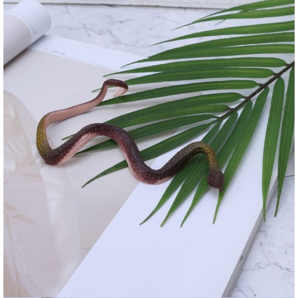 💥 Đồ chơi rắn giả bằng cao su💥CÓ SẴN💥CHỌN MẪU💥FOLLOW TẶNG 3K]💥VOUCHER 100K💥