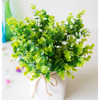 Cây nhựa PVC - Cây Bạch Đàn trang trí