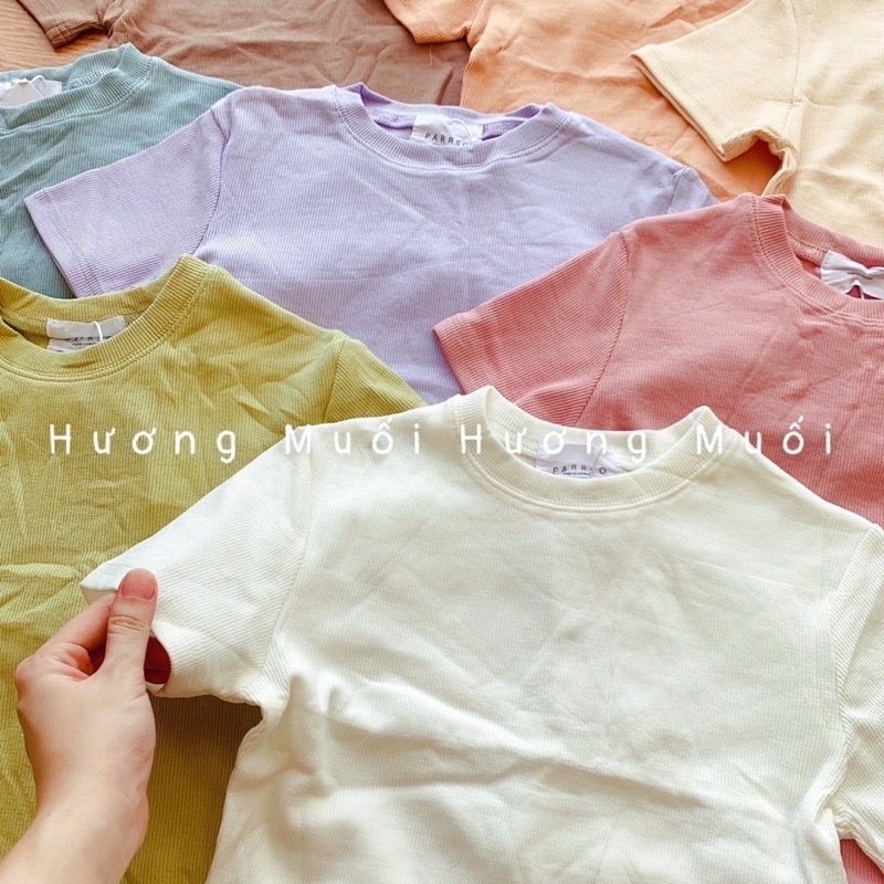 Áo thun tăm trơn basic cộc tay-hang qchau l1