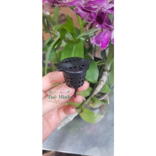 1 cái rọ nhựa đựng phân tan chậm chuyên để dùng hoa lan - cây cảnh