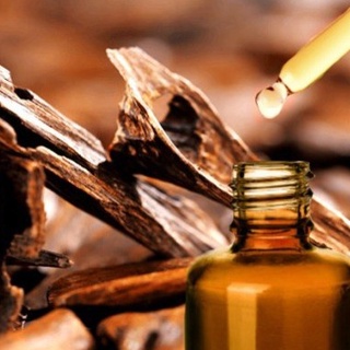 Tinh Dầu Trầm Hương ( Agarwood Essential Oil )