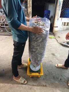 KHÔ CÁ SẶC ĐỒNG