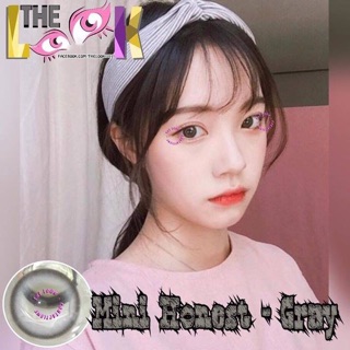Lens The Look (0 độ)