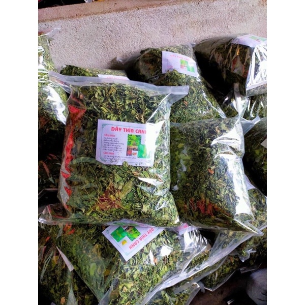 Dây thìa canh 1 kg hạ đường huyết