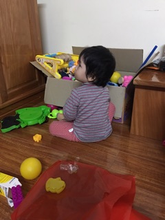 Áo cotton dày cổ 3p