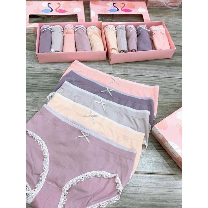 SET 5 CHIẾC QUẦN LÓT COTTON HÌNH HẠC