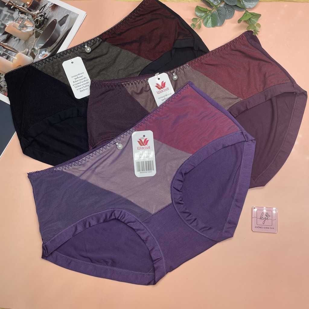 Quần lót nữ chất cotton pha lưới , quần lót phối 3 màu basic cho người dưới 62 kg  KGE