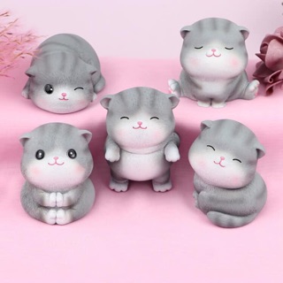 Bộ mèo 5 con 5 sắc thái