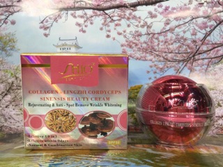 Kem dưỡng da SHIO cao cấp 30g