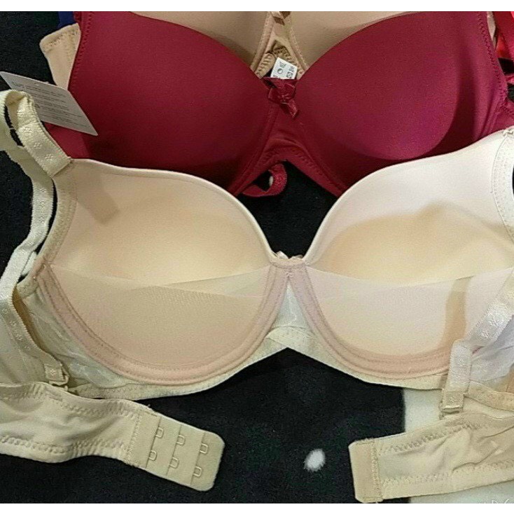 Áo Ngực Nữ Đệm Mỏng Không Gọng Hieu Store24h, Áo Lót Cotton Trơn 2 Móc Cài Sau - K66