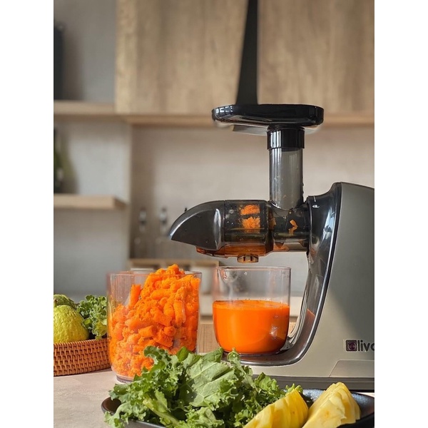 MÁY ÉP TRỤC NGANG OLIVO SJ22