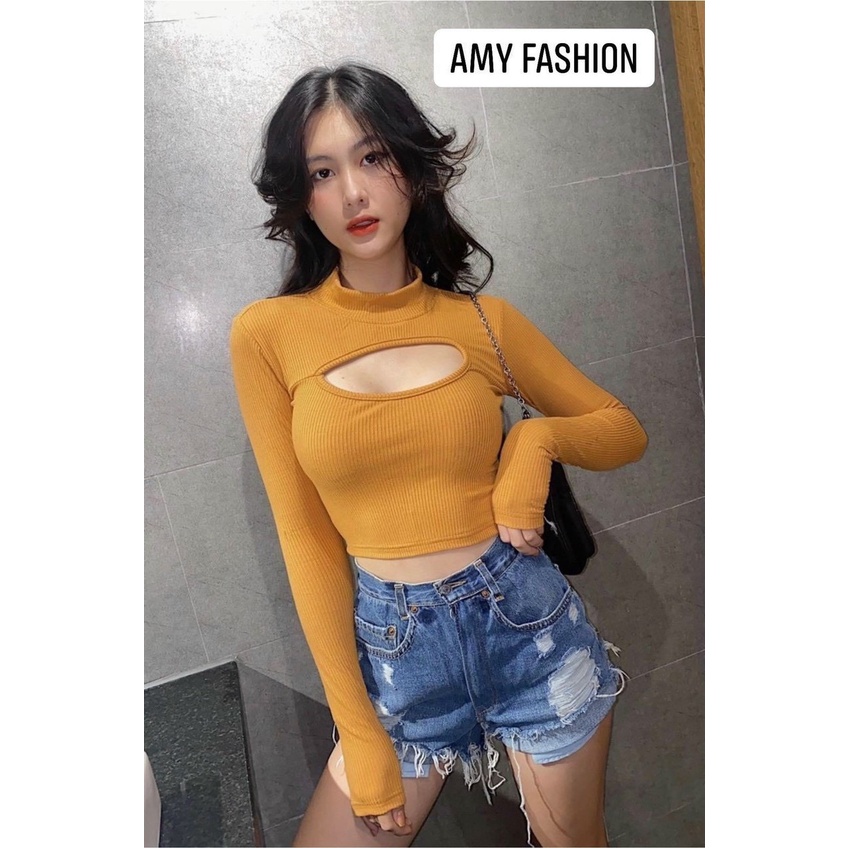 Áo Croptop Tay Dài Cổ Lọ Xẻ Ngực Cool Chất TTVV0095