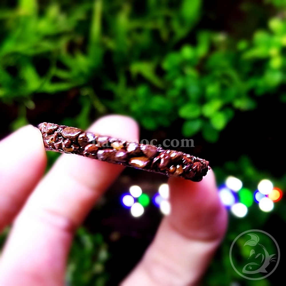 Giá Thể Ươm Cây Namoc (tròn 4cm) | Giá Thể Ươm Ráy, Bucep... | Phụ kiện thuỷ sinh Nấm Aquatools