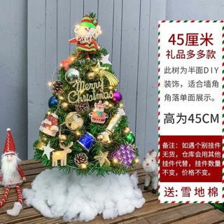 Cây thông noel