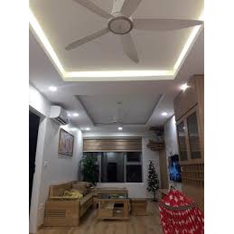 Quạt trần Panasonic 5 cánh F-60TDN | BigBuy360 - bigbuy360.vn