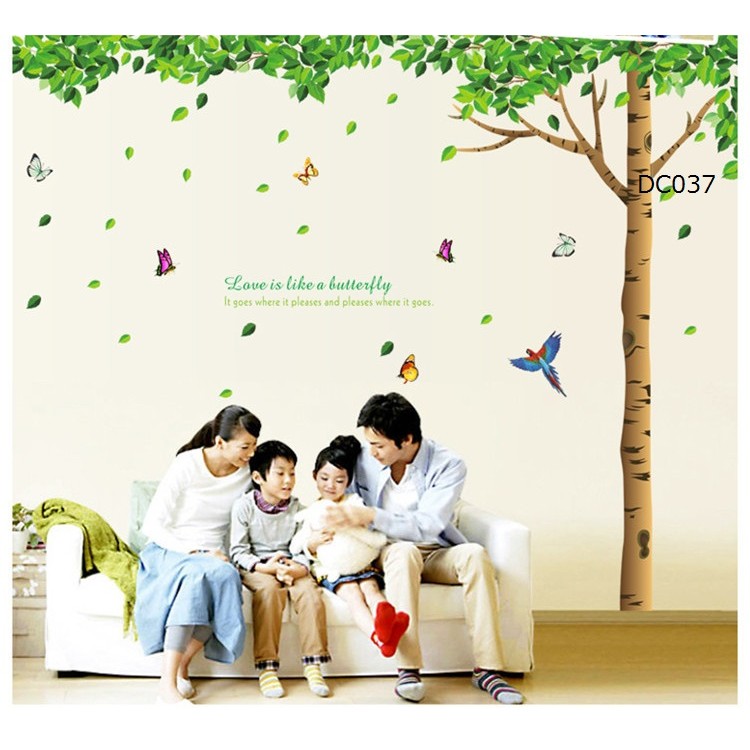 Decal dán tường đẹp Cây xanh bóng mát to trang trí phòng khách tươi mát - DCX008