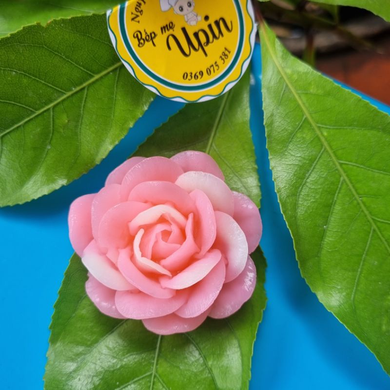 Khuôn Silicon Hoa Hồng Kiss 7,2 cm mã HK72