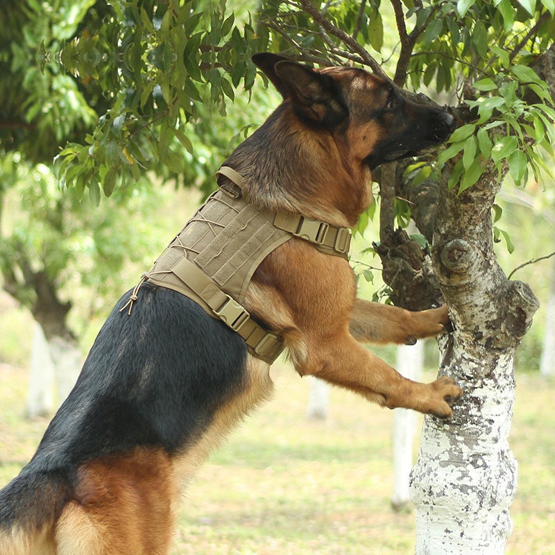 Quần áo chó cảnh vừa và lớn cho tuần tra k9 gi lê lông vàng săn chiến thuật Vest huấn luyện