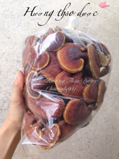 100g Nấm Lim Xanh ( khô )