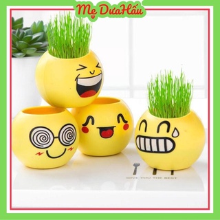 Chậu cây cảnh mini hình mặt cười đáng yêu - Cây để bàn tặng kèm đất và hạt giống cỏ tóc.