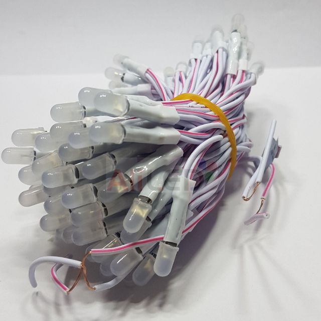 Led ruồi 12V chính hãng IPY dây đồng (100b/ bó) | BigBuy360 - bigbuy360.vn