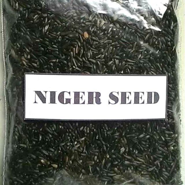 500g hạt Niger  cho Yến Hót, Chim Cảnh.