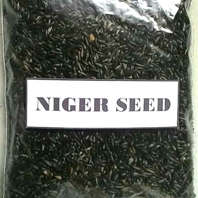 1KG HẠT NIGER (NIGER SEED) cho YẾN HÓT, FINCHES, VẸT-XUẤT XỨ: Ý 🇮🇹🇮🇹🇮🇹