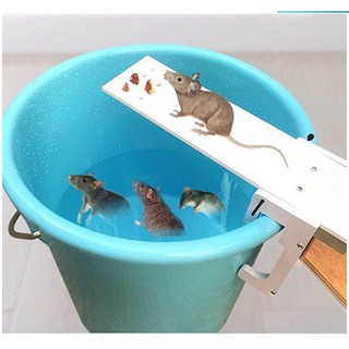 Bẫy chuột bập bênh, không hóa chất, không độc hại dễ dùng trong nhà ngoài trời, vườn, giá rẻ, video hướng dẫn lắp
