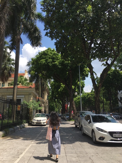 Set thiết kế