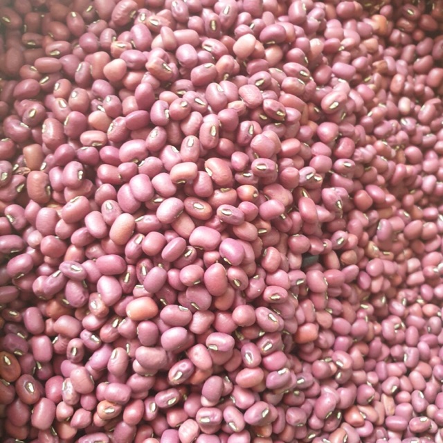 Đậu đỏ sạch nhà vườn 500gr