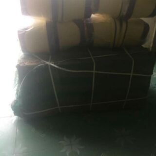 (3 bông lau) Cây lau nhà thái lan