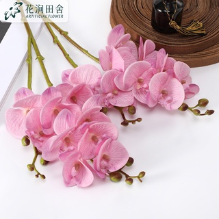 CÀNH LAN HỒ ĐIỆP 2 NHÁNH [Hoa lụa cao cấp Lachance ]