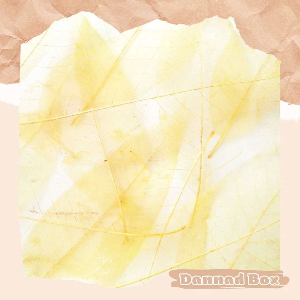 Set 5 Lá Ép Khô Dùng Trang Trí Decor Resin DIY